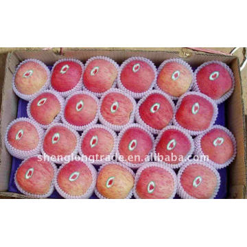 YATAN Crisp Fresh exportateur de pommes fuji 008615966901802